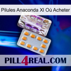 Pilules Anaconda Xl Où Acheter new12